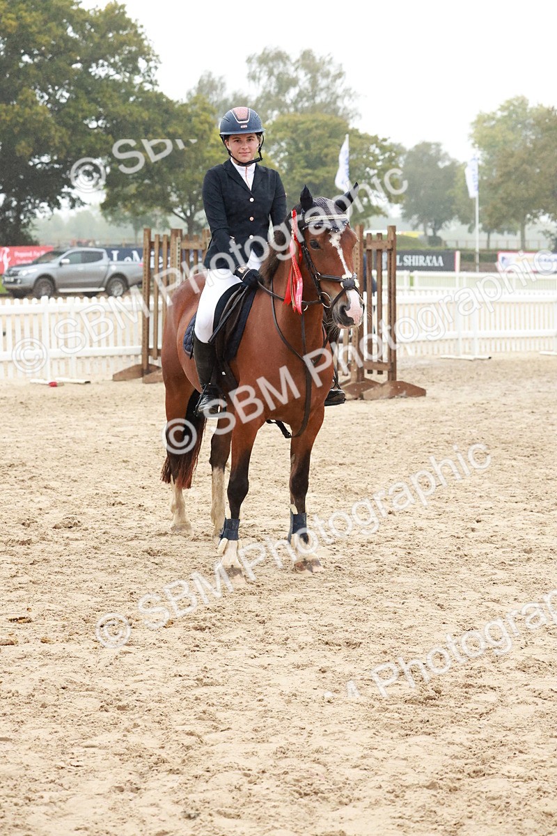 SBM_73648 - Supreme Championship Junior Pony 60cm & 65cm