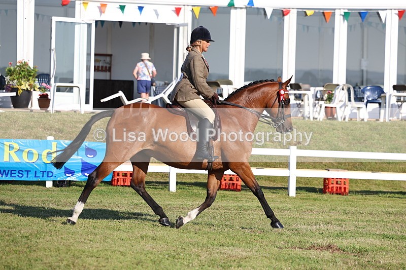 3E7A4947 - Class 1: Rising Star Small Hack/Riding Horses