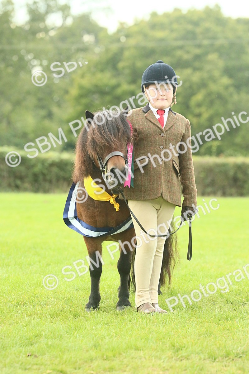 SBM_75270 - Super Supreme Championship