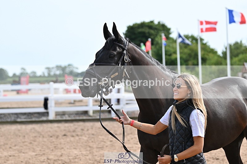 240717A-161639-03406 - Trot Up 4pm to 5pm