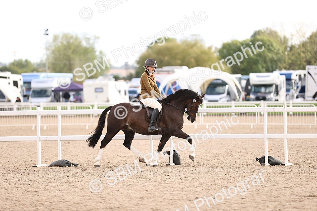 SBM_18212 - Class 423 - Equitation (best rider) Adult