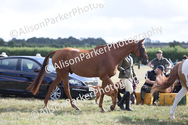 20250831-1500 - Class 21 - Inhand Open