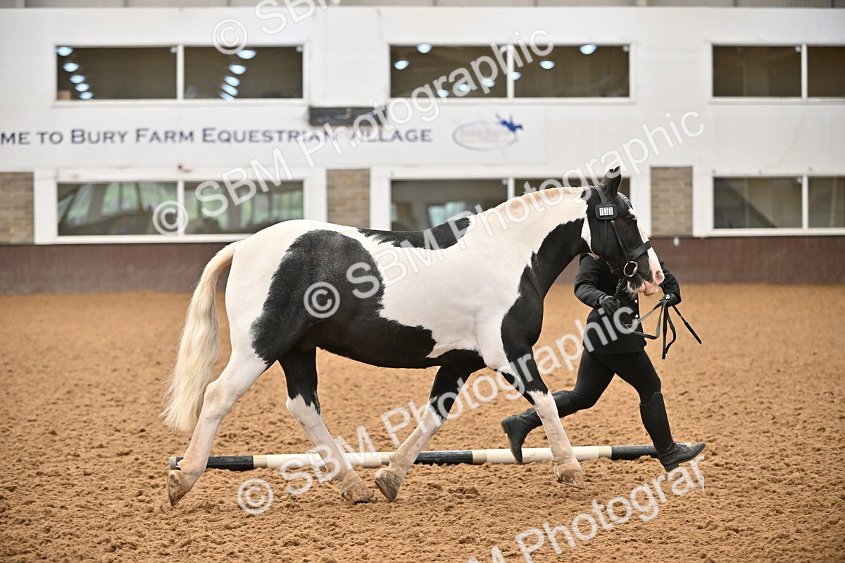 SBM_000008 - Class 1 - In Hand Cob