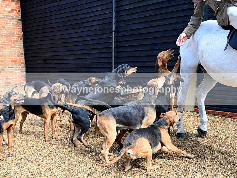 WJ7_7049 - Berks & Bucks at Blandy’s Farm 31-08-25