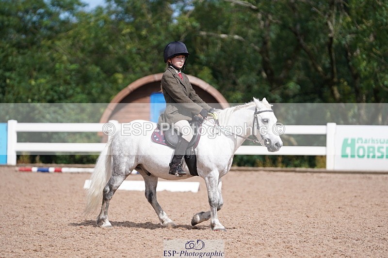 240809A-105008-00674 - Dressage Competition