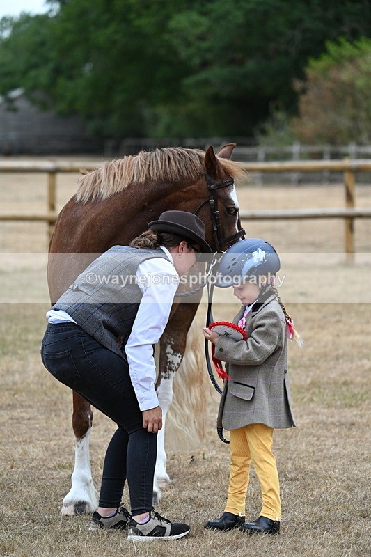 WJ7_8591 - Class 4 Prettiest Mare up to 14.2hh