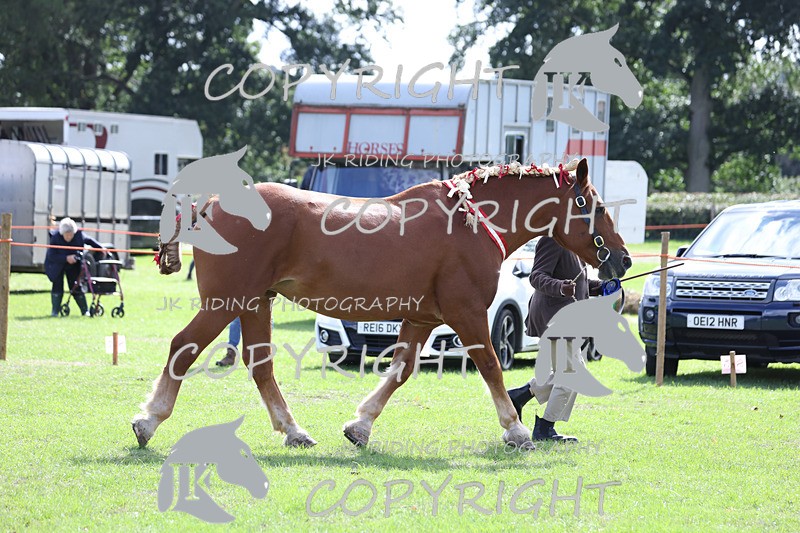 APP_3339 - Class 4 Veterans