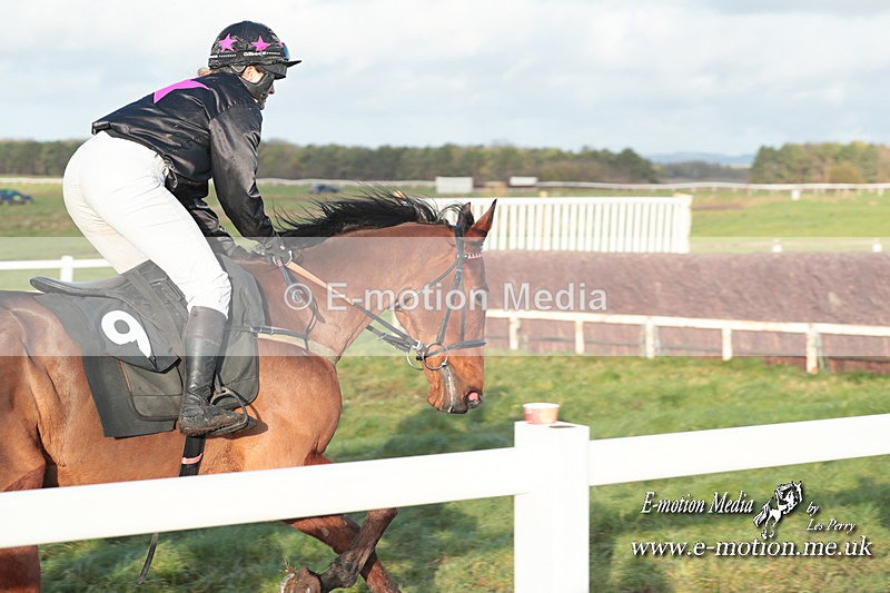 PtP 101223 1090 - New Forest Hounds PtP Larkhill 10/12/23
