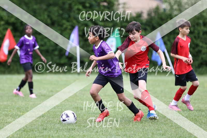 1DX31174 - Brook Field V Goddard Park