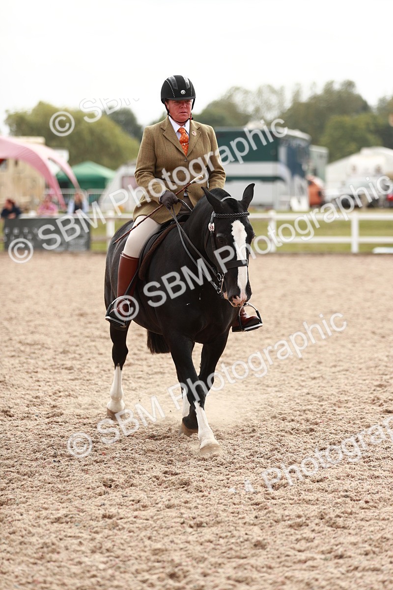 SBM_16719 - Class 214 Ridden Cob