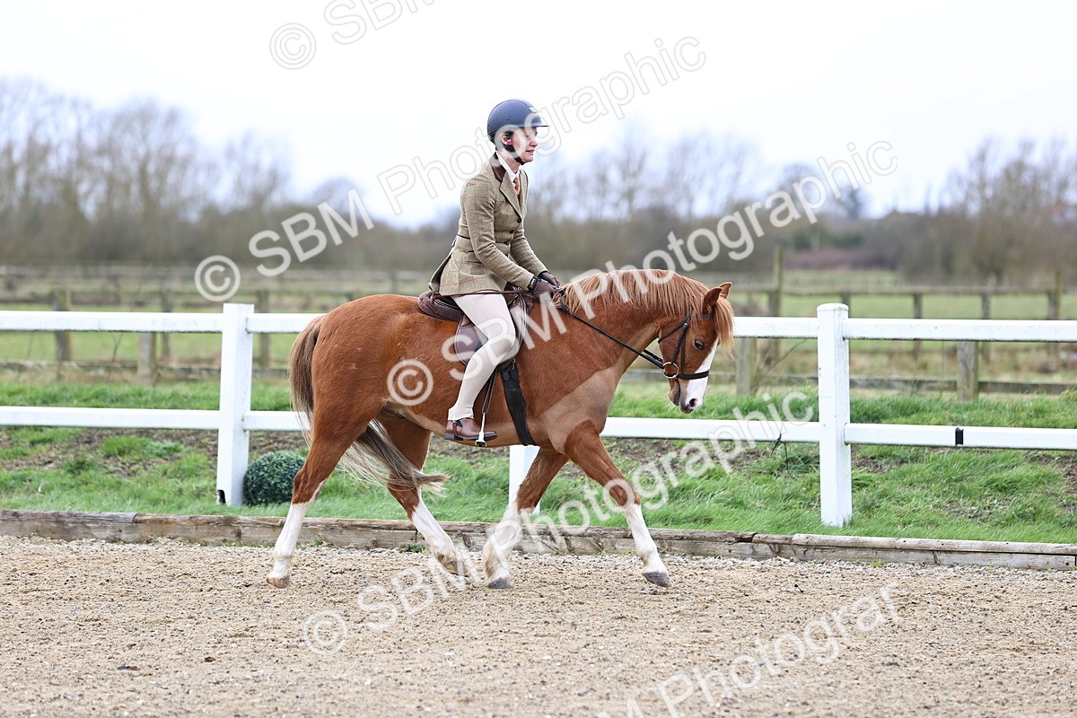 SBM_006733 - Class 29 - 30 - M&M Pure Novice Small-Large Breeds