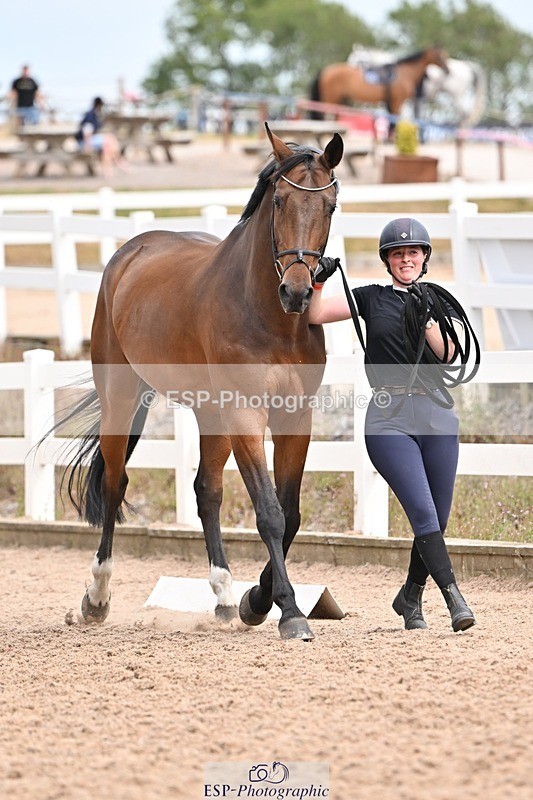 250716-154349-02170 - Trot Up 3.30 to 4.30
