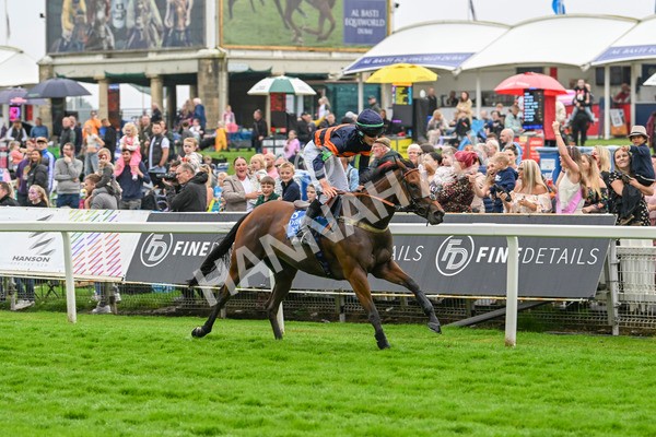 080924-Pony Race-8492 - Pony Race 1.00pm The Dragon (TV and Film) Studios Pony Race 148cm & Under