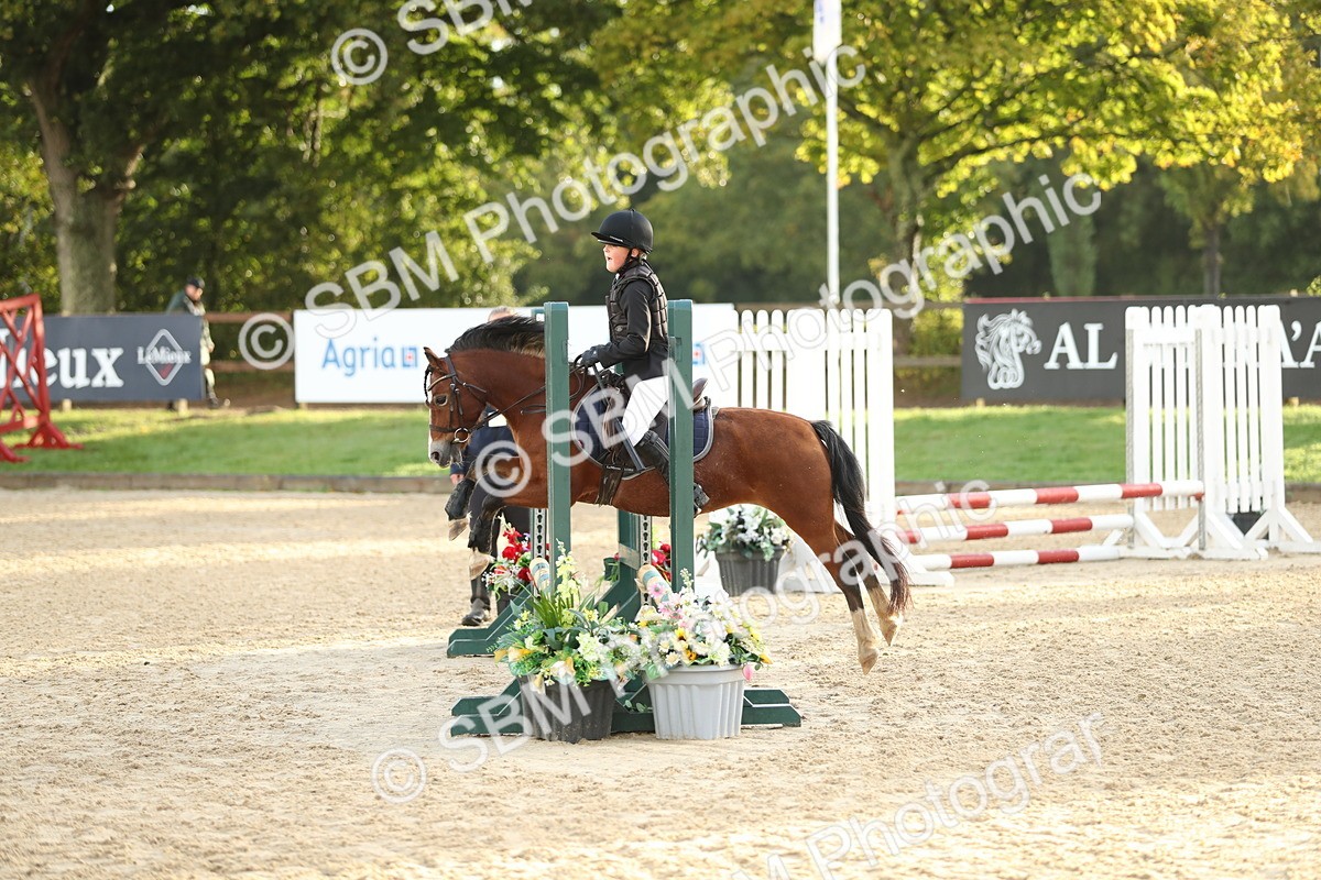 SBM_34161 - J60 Clear Round 50cm