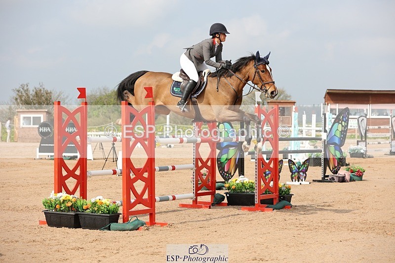 250424-103951-03157 - Cls 33 Young Horse 7yr old