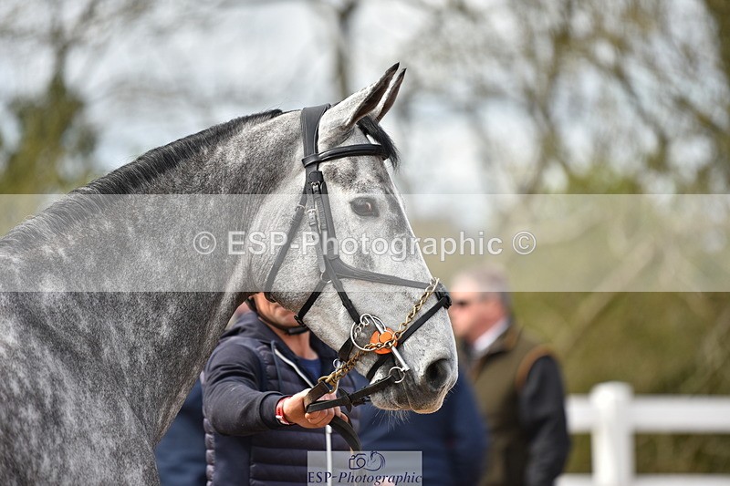 240417A-142934-00538 - 2pm to 3pm