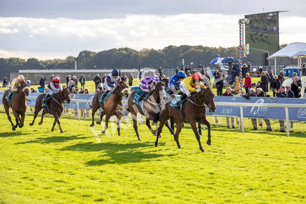 111024-Race 5-Vince LAmour-6959 - Race 5 3.45pm Copper Knight - Winning Most Horse At York Handicap