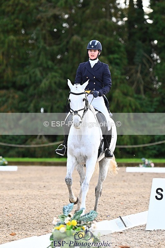 231021-160124-20997 - 262-GOOD.BOY.ALEX-Tara.Jefferies-DR