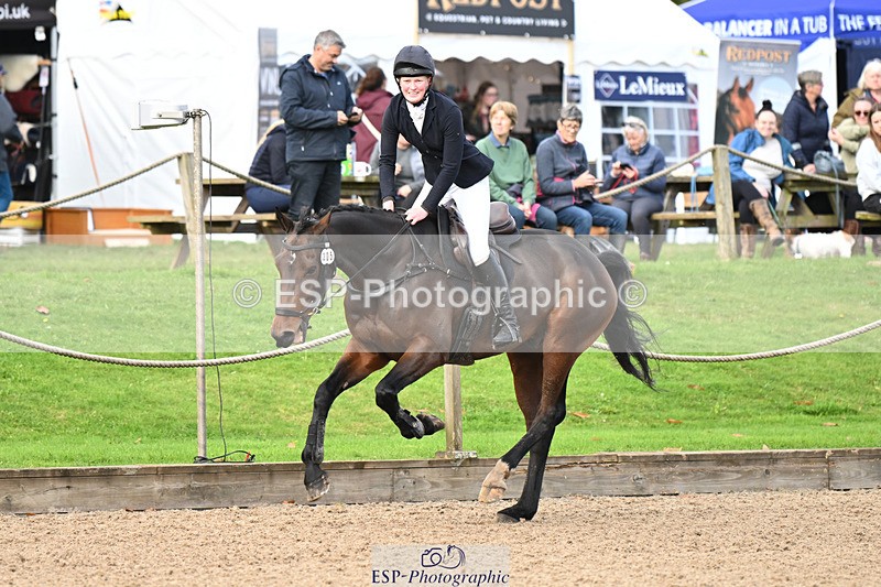 241025-121755-07524 - 205-Alderney.Street-KYTANO