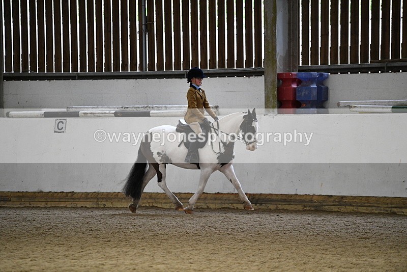WJ5_7388 - Class 11 Ridden PC - RC Pony