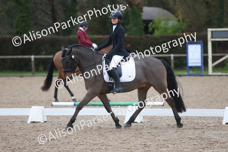 20251207-0362 - Class 3 - Novice 5