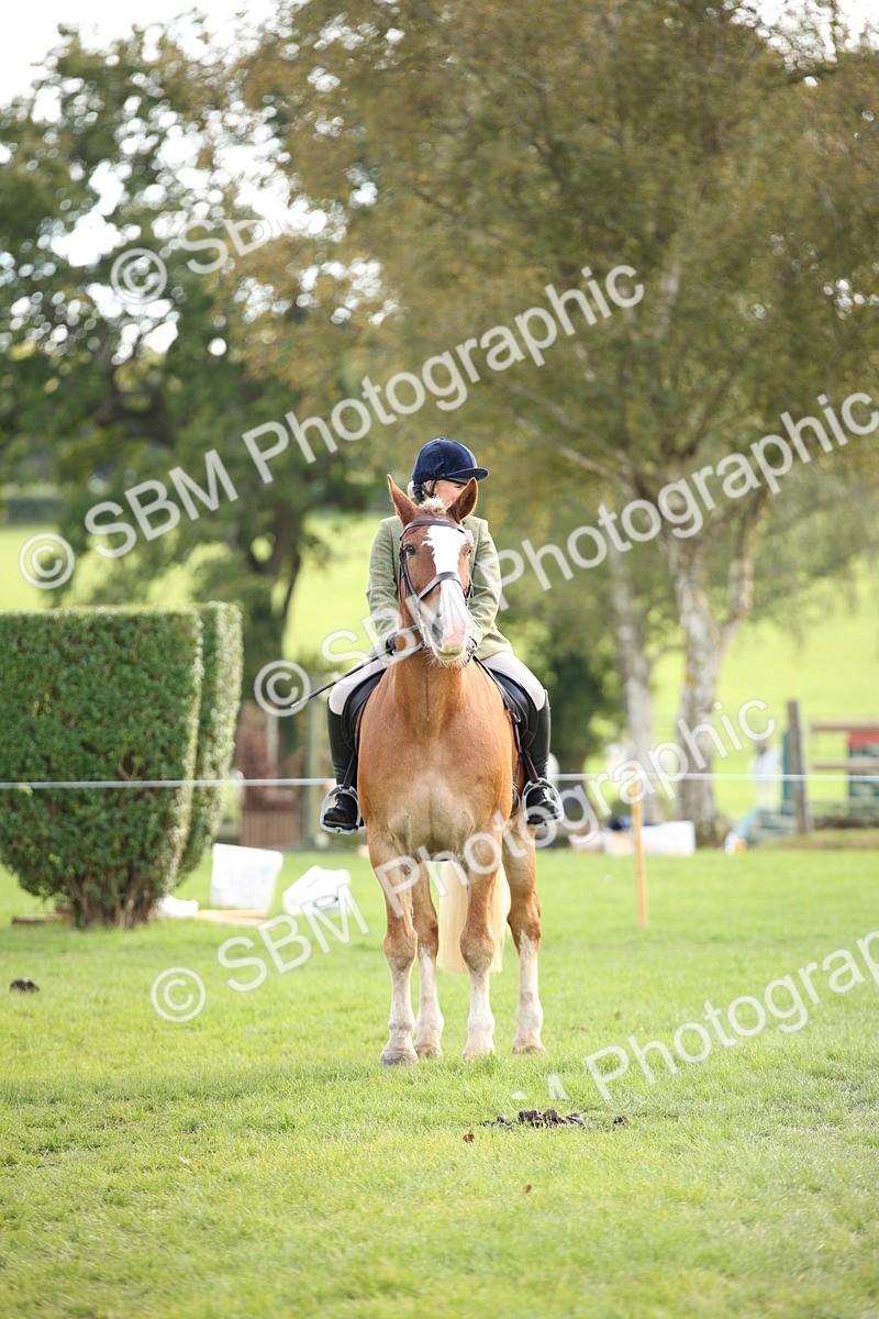 SBM_50213 - S26 - Young Veteran - Ridden