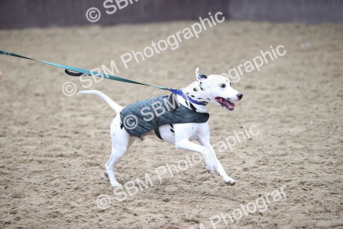 SBM_001498 - Class 3 - Horse & Hound 60cm