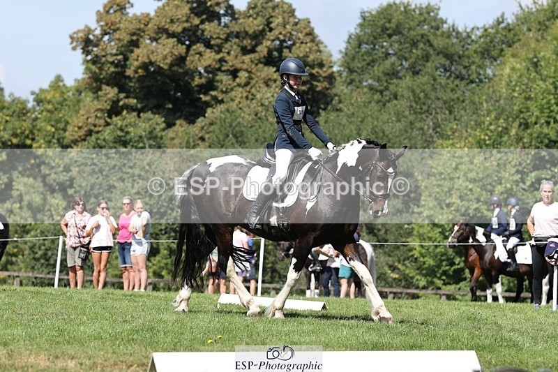 250823A-120927-29412 - Arena D