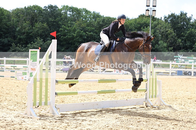 3E7A0205 - Class 9: Senior British Novice/90cm open