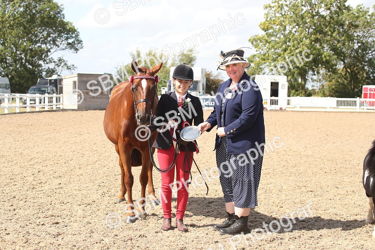 SBM_23152 - Class 606 - 2026 - Area - IH Pre Vet