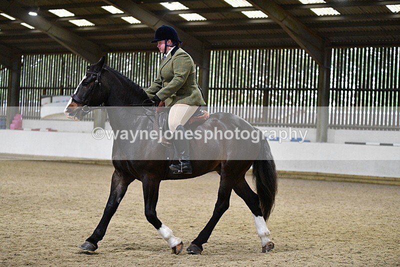 WJ5_8155 - Class 14 Novice Ridden/Rider