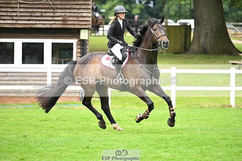 250615A-083500-09208 - Cls 35 Foxhunter