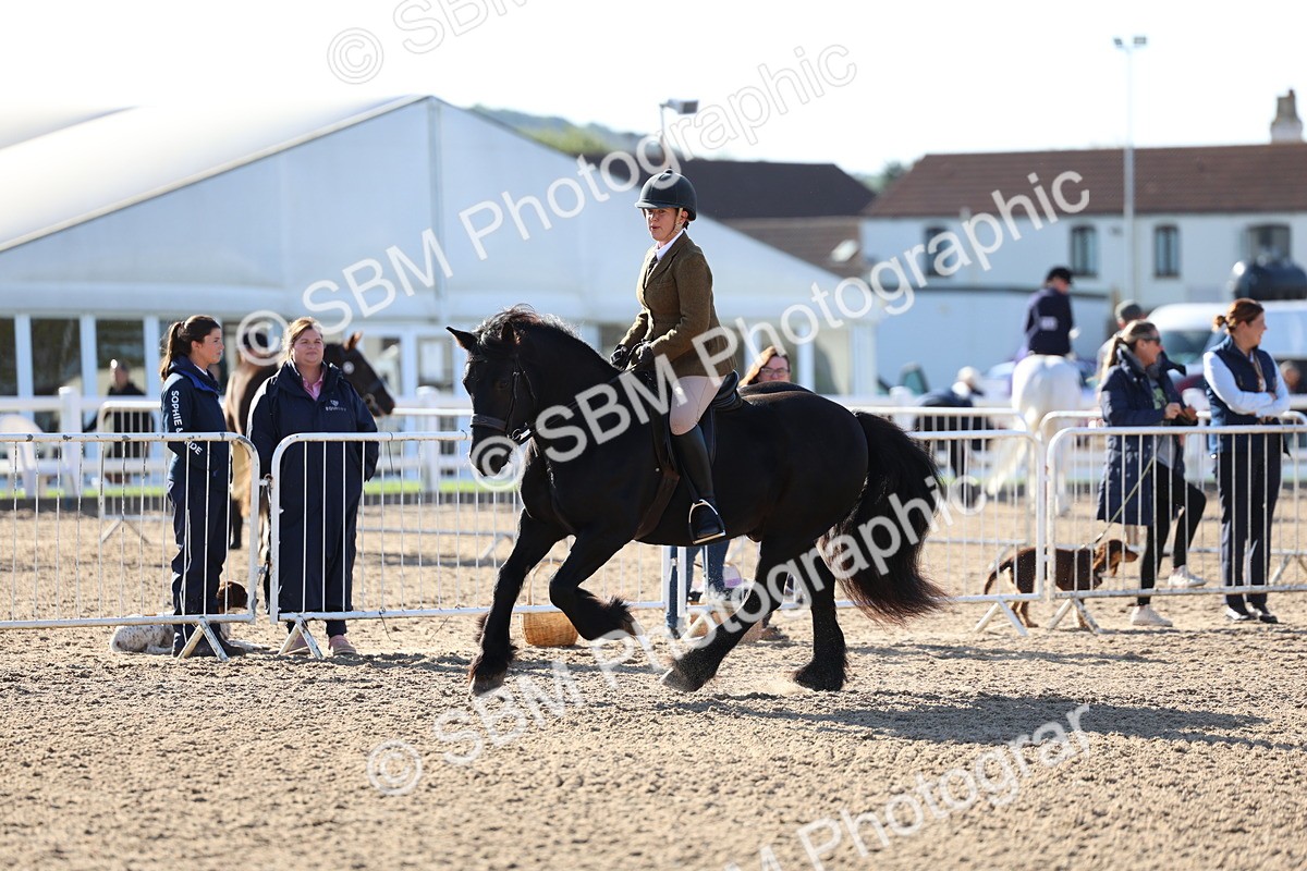 SBM_08884 - Class 302 - Ridden M&M - Large Breeds