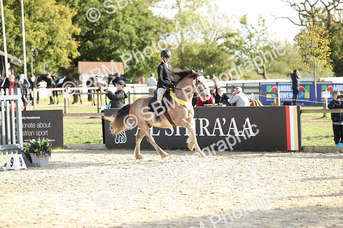 SBM_49675 - J22 - Junior Horse 65cm Championship