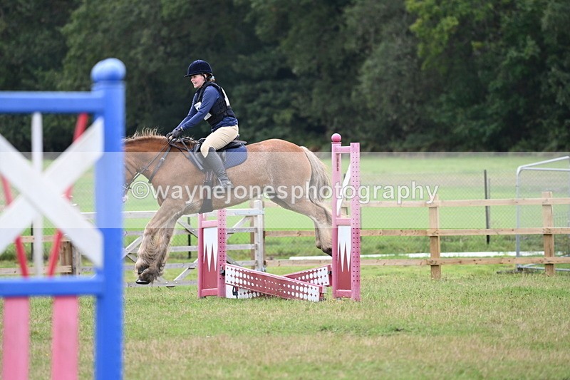 WJ6_0484 - 40cm Time 10:29 to 10:52