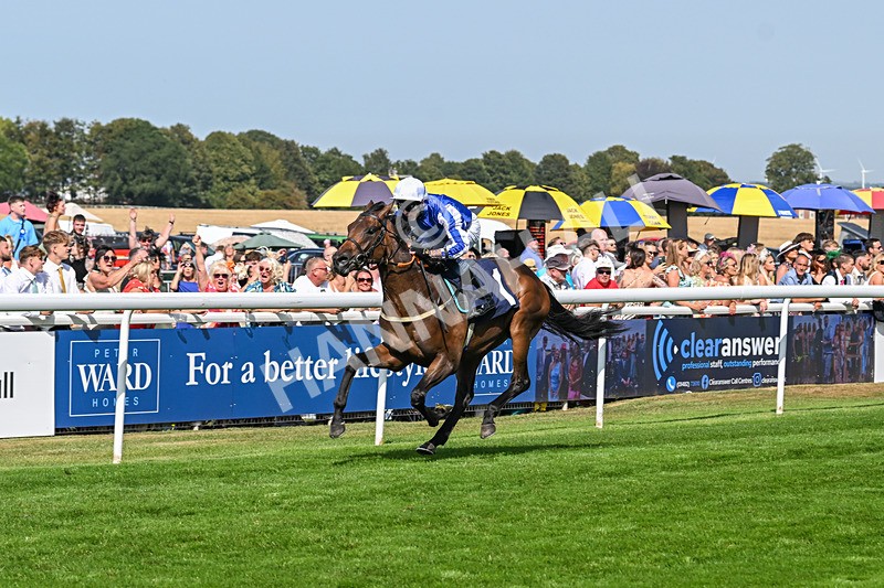 130825-Race 3-Hes Waliim-7637 - Race 3