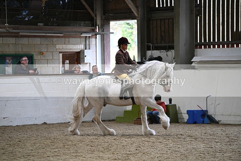 WJ7_3681 - Class 16 Ridden Coloured/ Odd Coloured