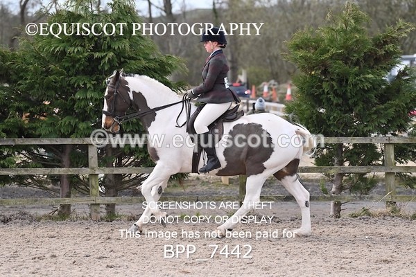 BPP_7442 - RING 1  (RIDDEN HORSES / IN HAND / VETERAN ETC)