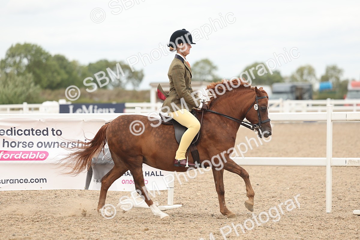 SBM_19130 - Class 316 - Best Pony-Rider Combination