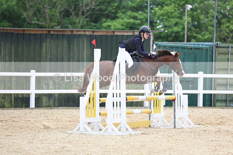 3E7A0101 - Class 13: Pony British Novice/80cm open
