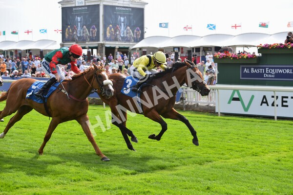 yr08072022r5-21 - Race 5 4.25pm Azets Stakes