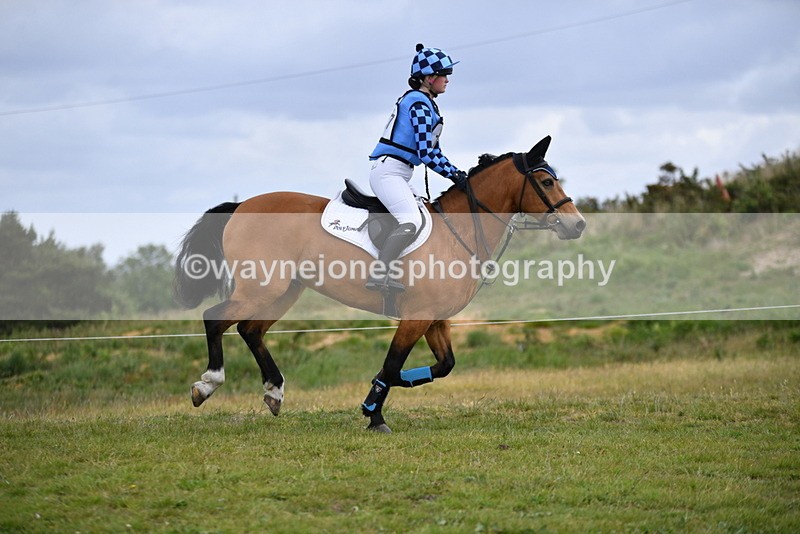 WJ5_7225 - Time 11:39 to 11:48