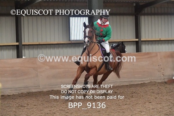 BPP_9136 - CLASS 3 50CM-70CM Pairs Show Jumping