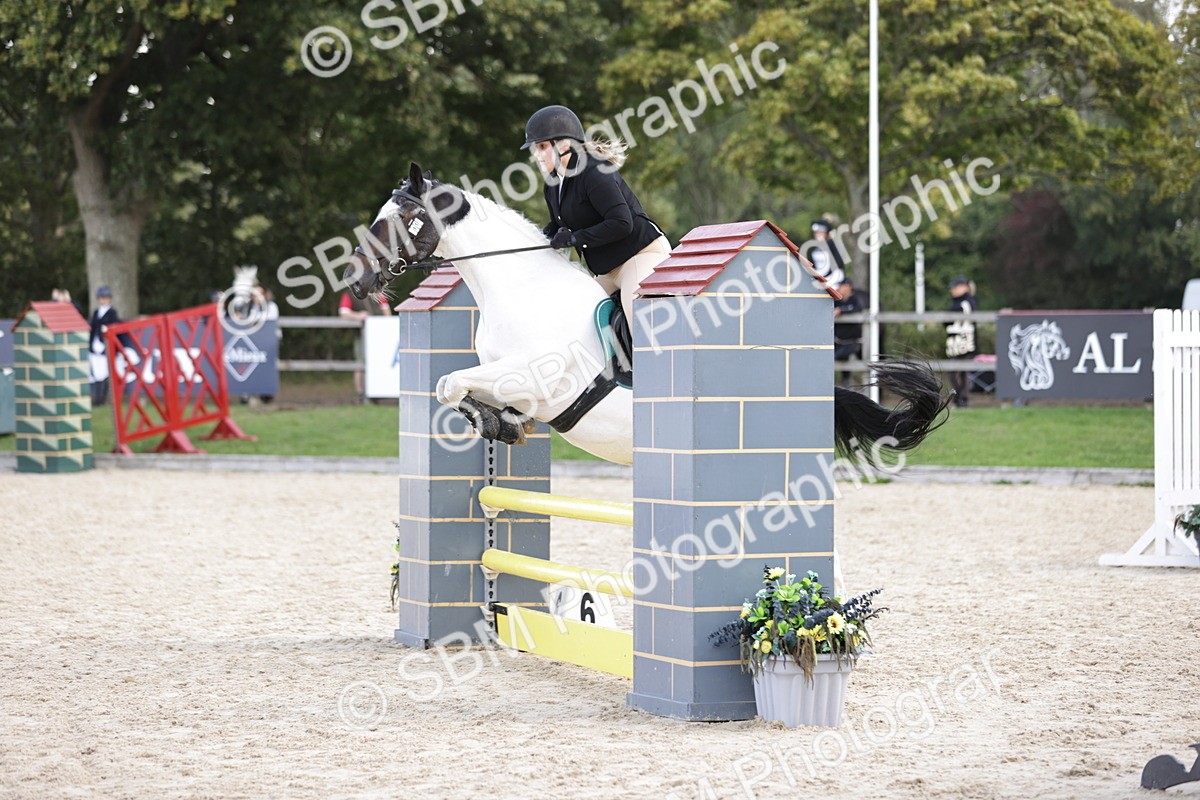 SBM_18506 - Supreme Championship