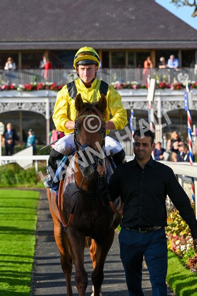 111025-Race 5-Morshdi-0578 - Race 5 Coral 'We're Here For It' EBF Maiden Stakes at York