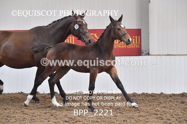 BPP_2221