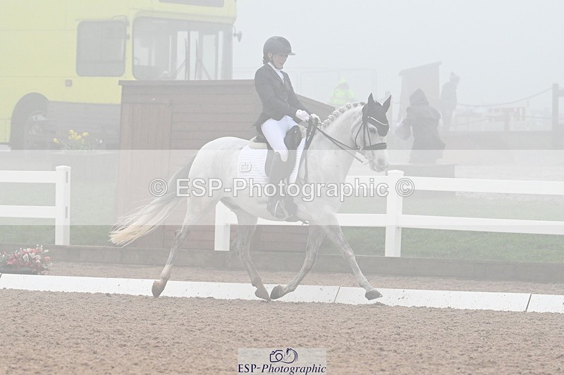 240217A-142611-03593 - 238-Josephine.Fenton-Kashan.Maheer.Ibn.Montroze