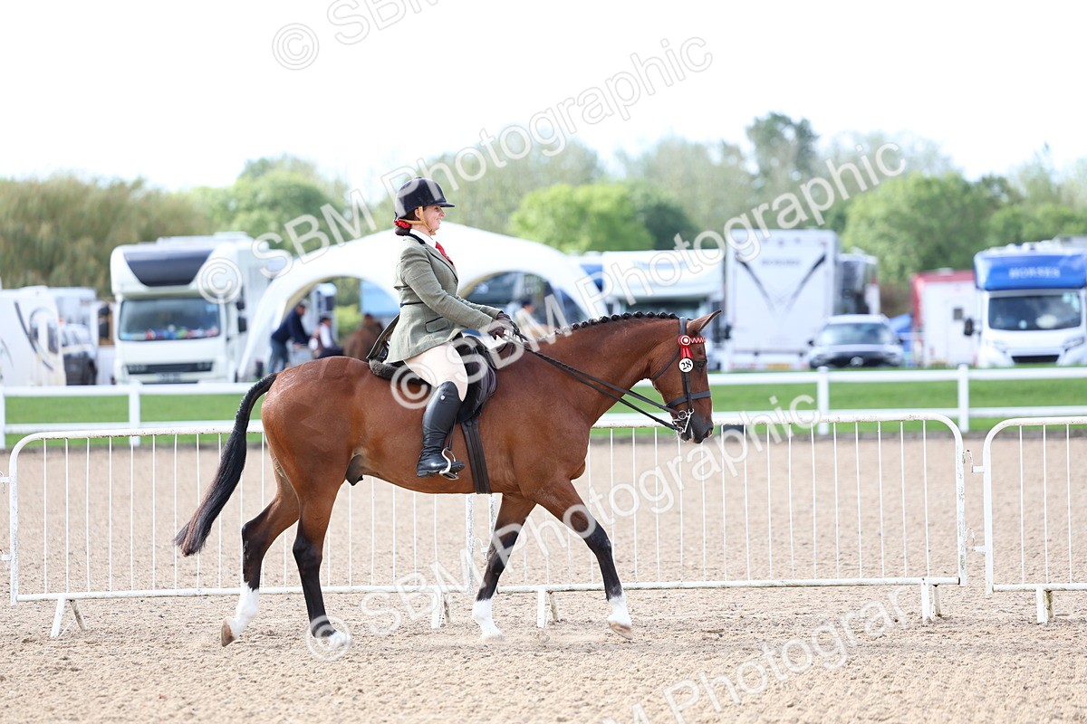 SBM_10037 - Class 304 - Ridden Part Bred Horse Pony
