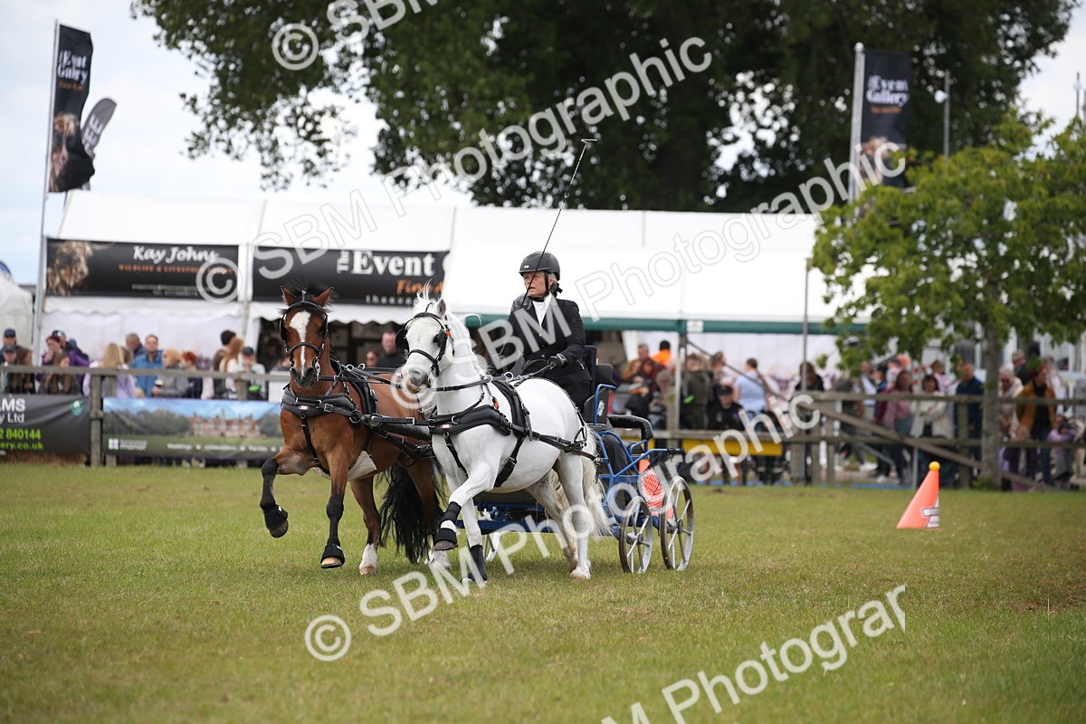 SBM_15445 - Class 90 - Scurry 122cm and Under