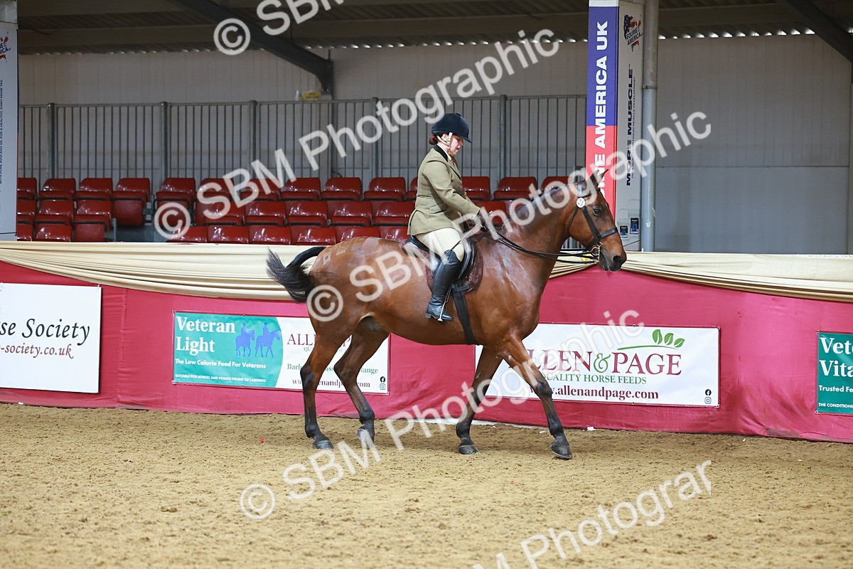 SBM_09369 - Class 102 - HOYS Veteran Qualifier - Ridden Veteran